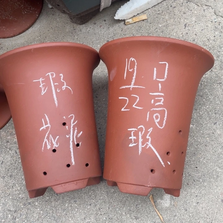 周深周深周深周深周深