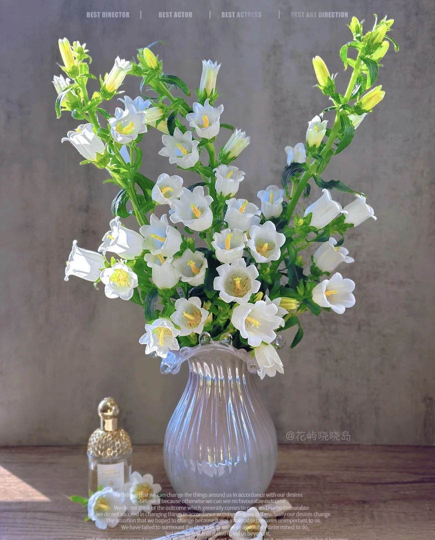 【风铃】两把随意搭配颜色（紫色白色）任意两单发顺丰冷链或中通空运