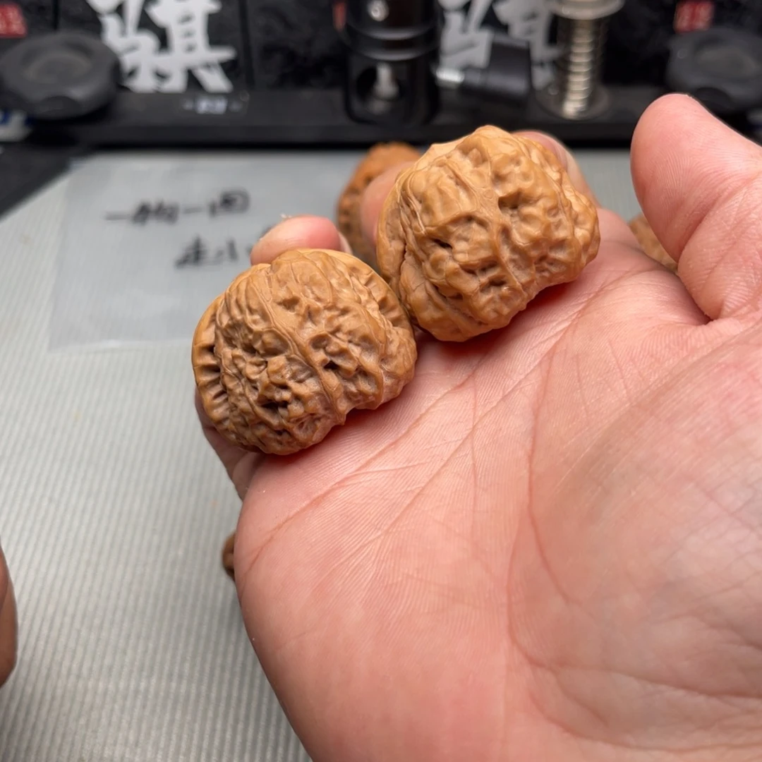 哈哈哈哈哈哈哈哈哈哈哈