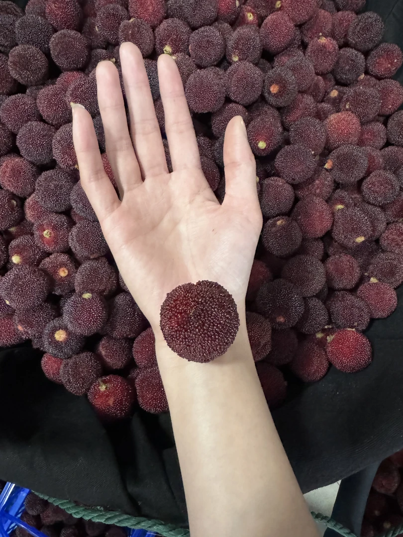 【买一送一】8A仙居东魁杨梅礼盒装