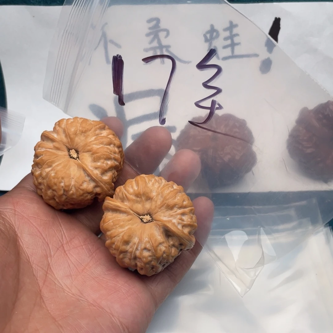 核桃735573537735753573357