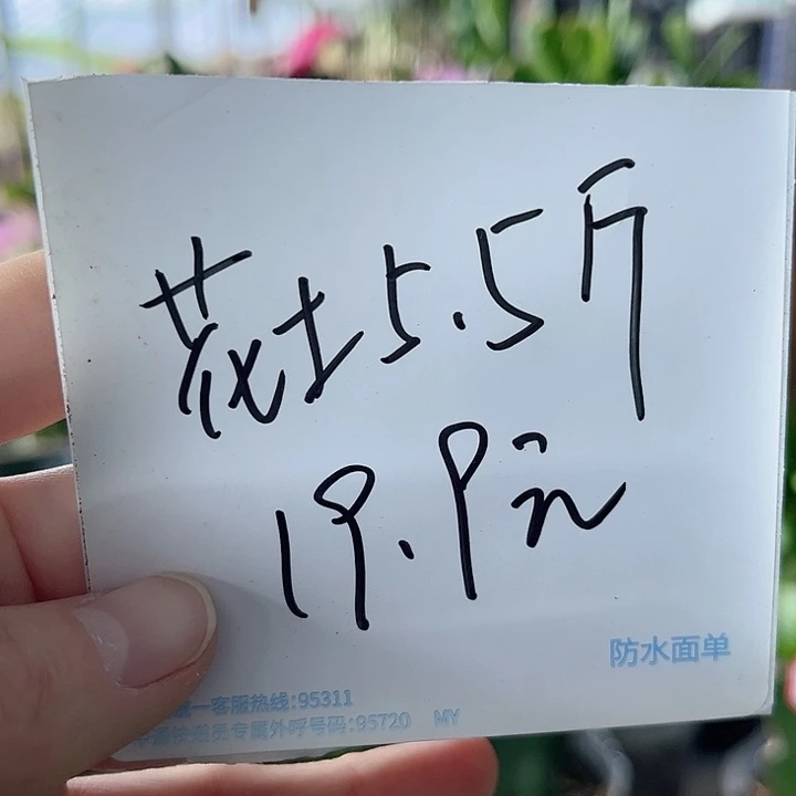 当前无花栽培后可以开花蟹爪兰花土