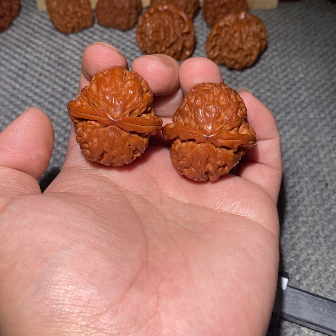 文玩核桃把件白狮子球白36.38.33