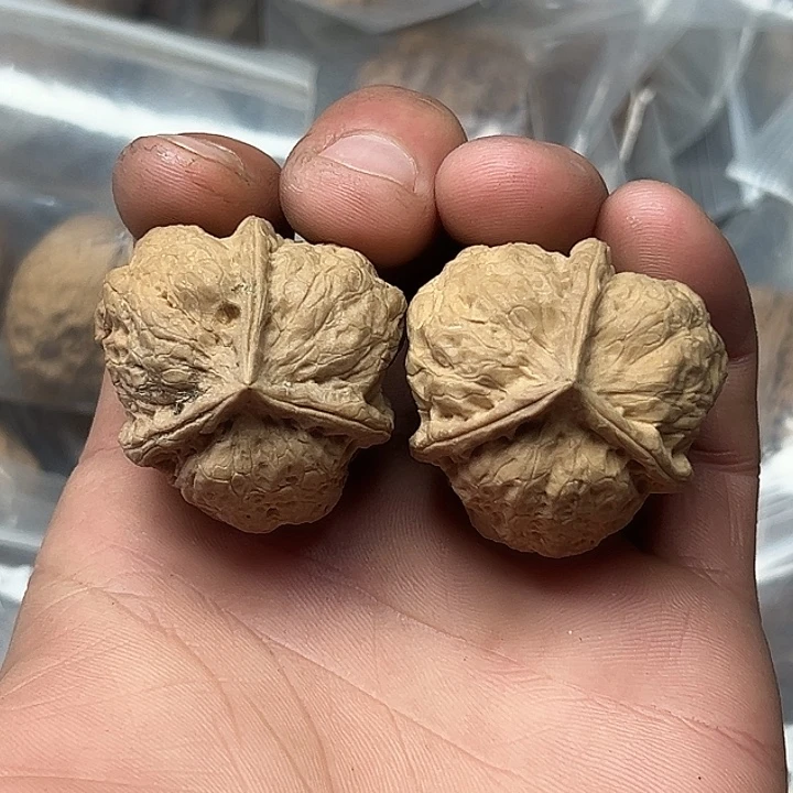 核桃65号开背三楞36尺
