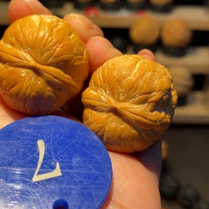 木质类帝王蛇皮球32尺寸