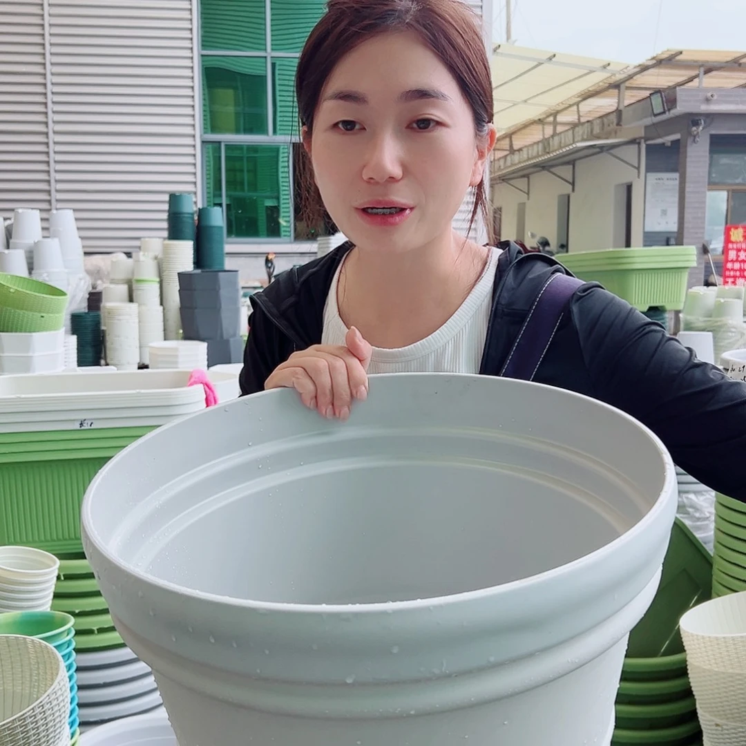 罗马盆小号灰白3个无托