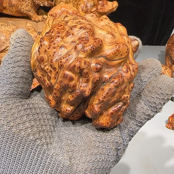 五***生柏木太行崖柏龙龟