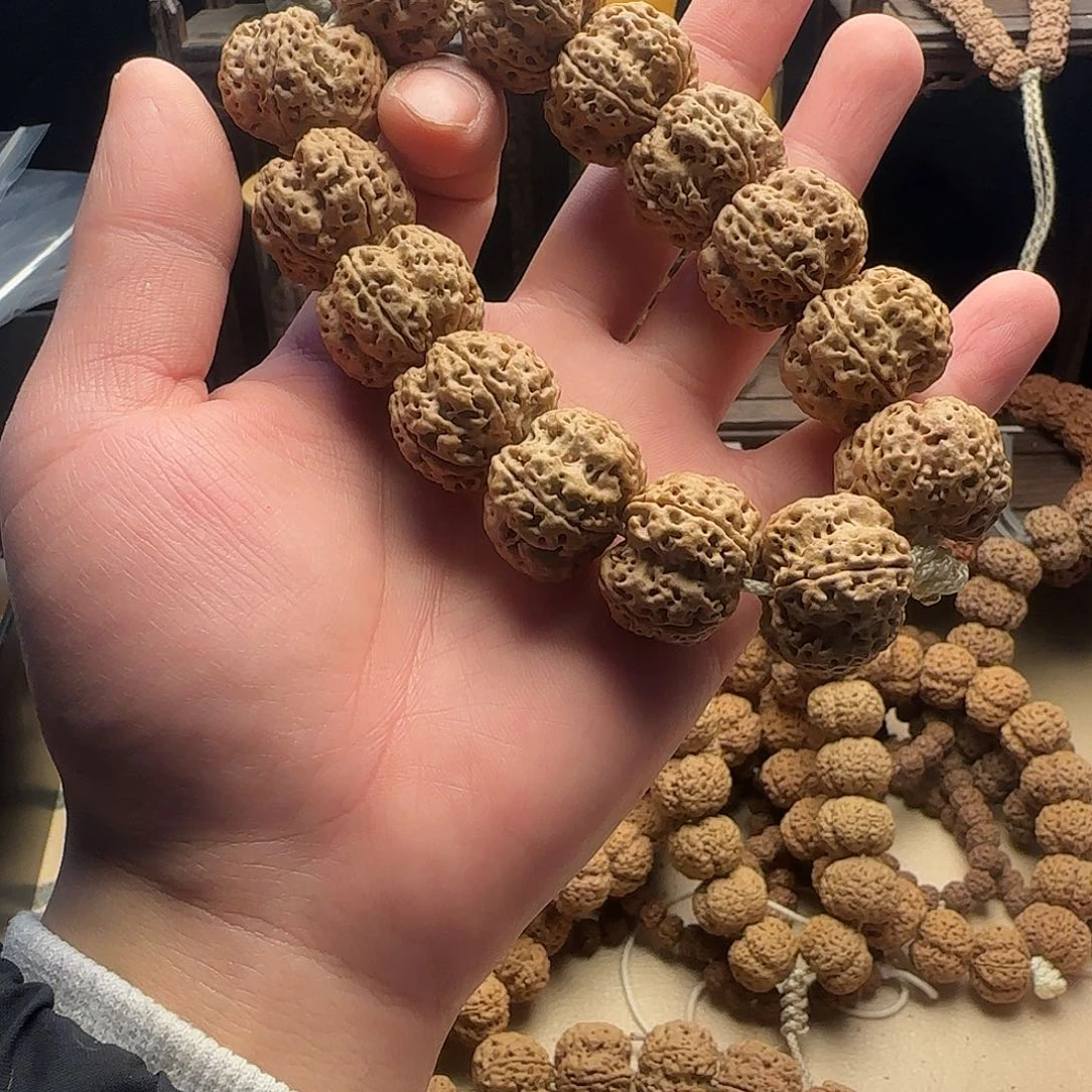 金刚菩提吊坠金刚菩提龙牙24