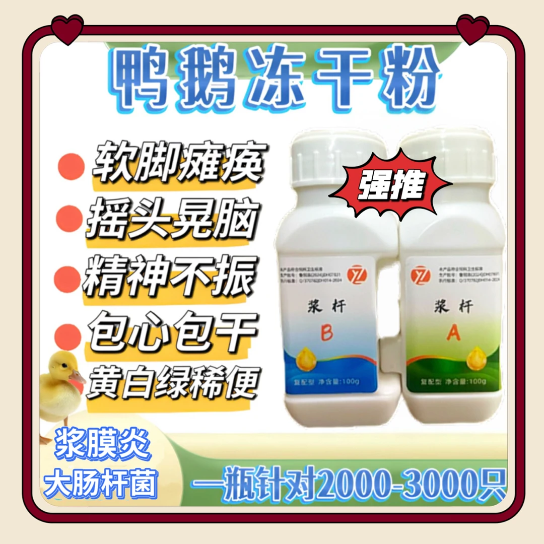 鸡鸭鹅鸽适用的正品冻干粉饲料添加剂