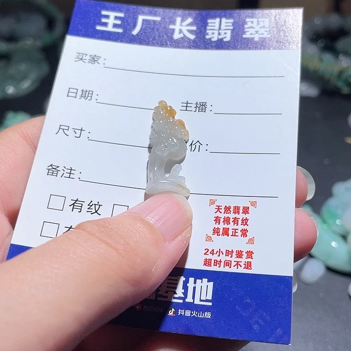 翡翠未镶嵌颈饰天