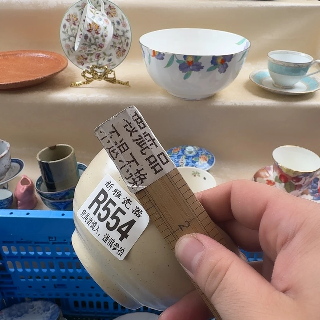张***平瓷片         我544