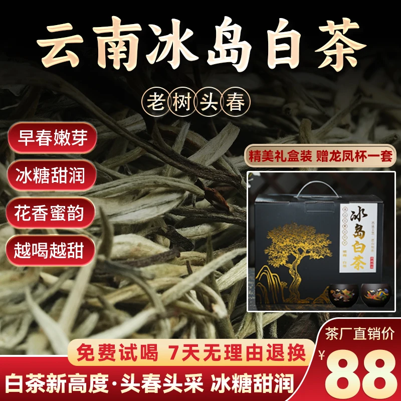 正宗云南冰岛白茶大树头采春茶高香高甜茶农直销浓香耐泡送礼便携