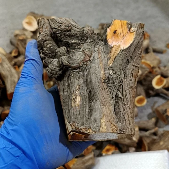 墨***风香榧木崖柏原叉崖柏原叉崖柏