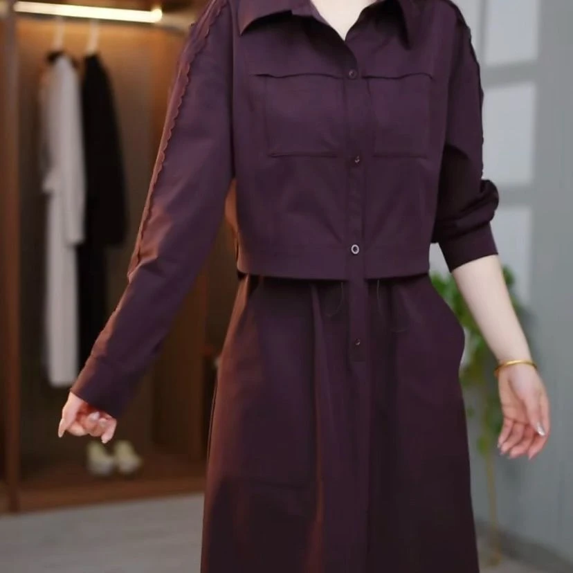 高端时尚重工假两件洋气连衣裙收腰显瘦遮肉气质减龄中长款过膝裙