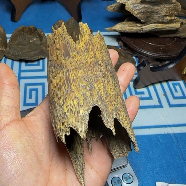 木质母树绿奇乌身虫漏43克