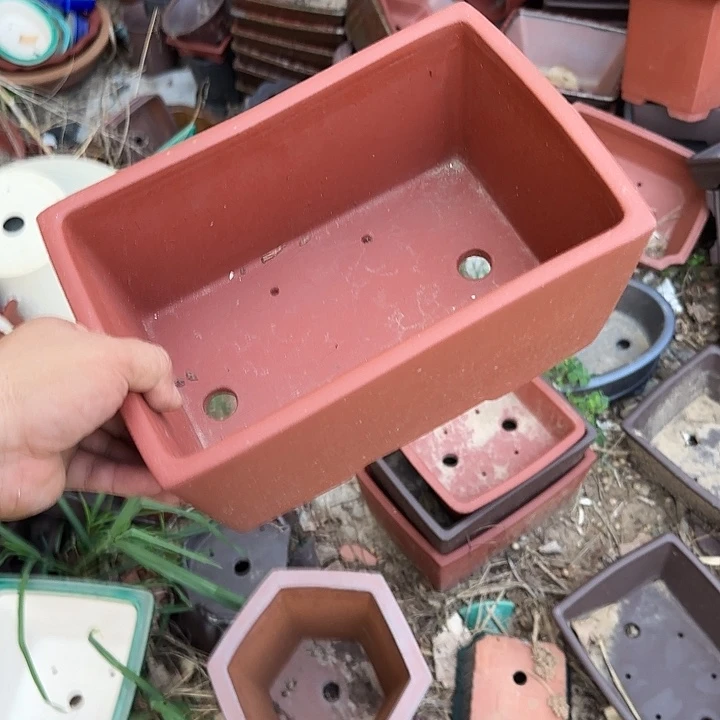 在干嘛的我也睡啦一下午你