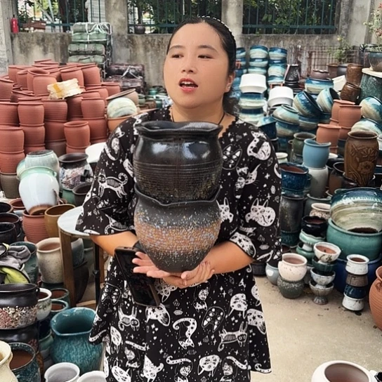 口19高19两个盆子。