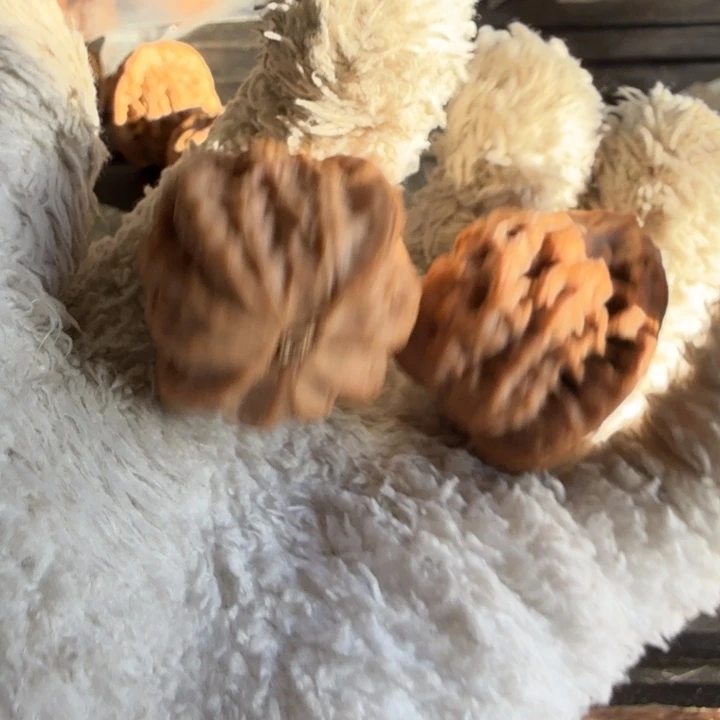 吊坠文玩核桃佛度