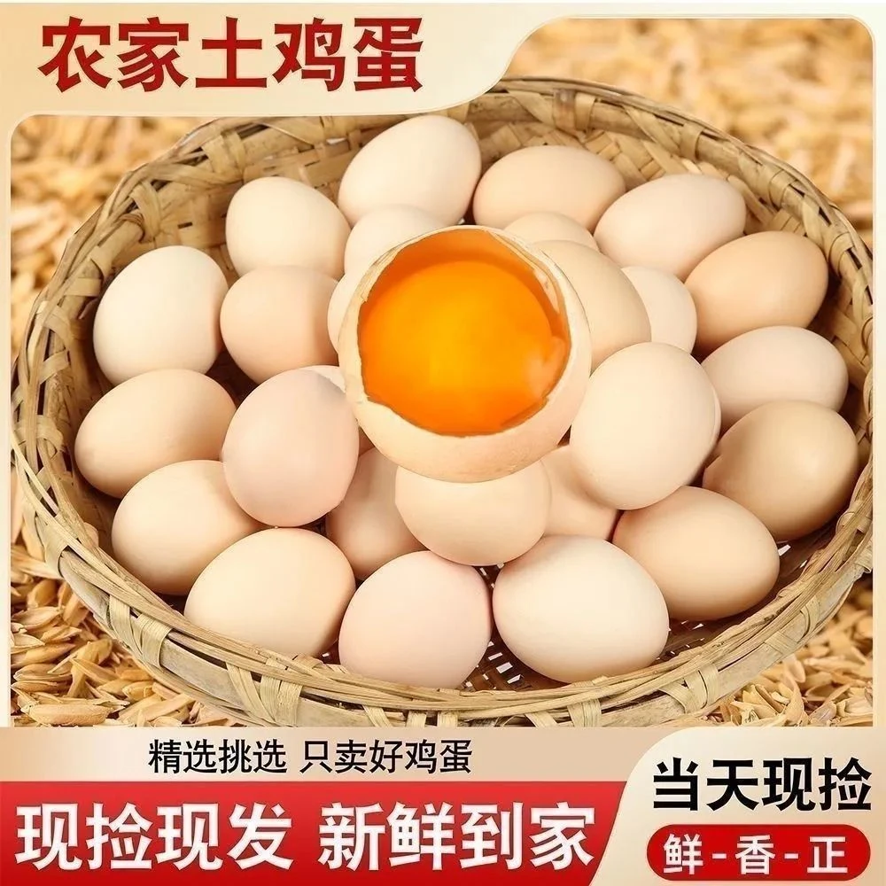 【蛋王】农家散养土鸡蛋新鲜营养健康破损包赔现捡现发