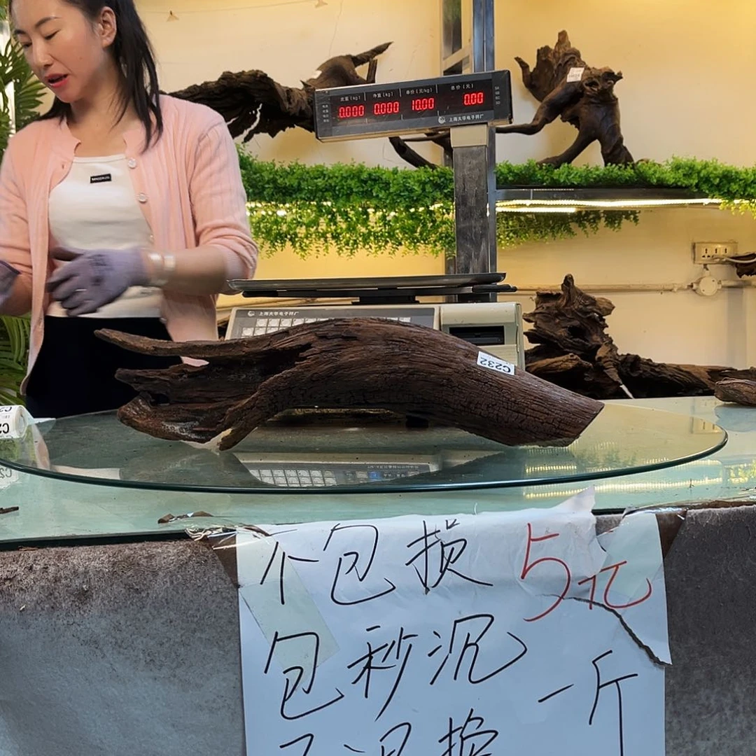 柚木x*~沉木鱼缸造景