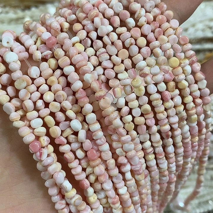 一条4mm女皇贝随行小豆豆