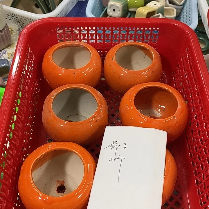 花盆抢购清货马上开始