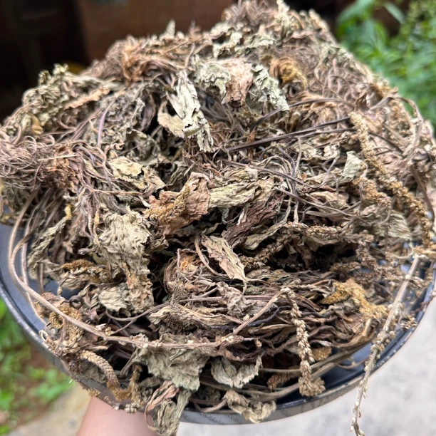 车-前-草 -农村野生干货搭配  甘草