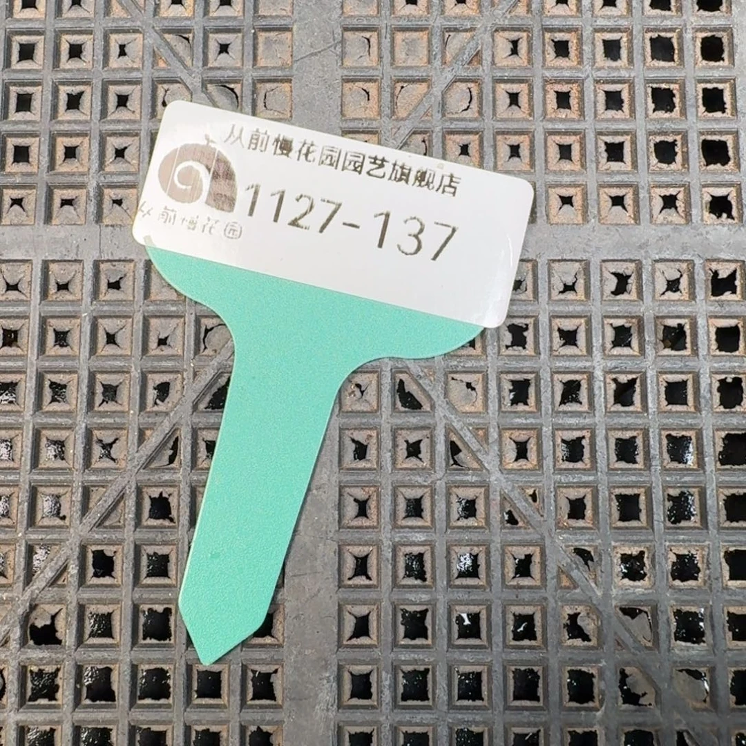 从前慢花园多肉编号1127.137