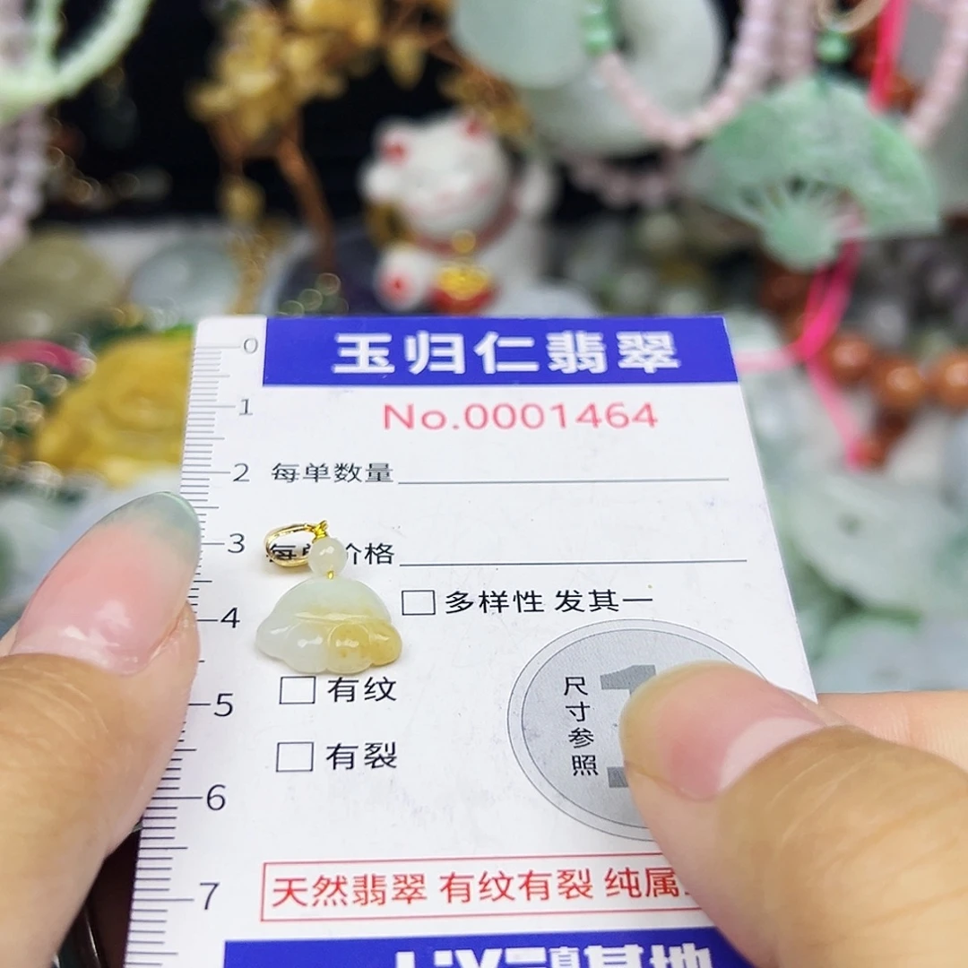 翡翠未镶嵌吊坠(不含链)1111