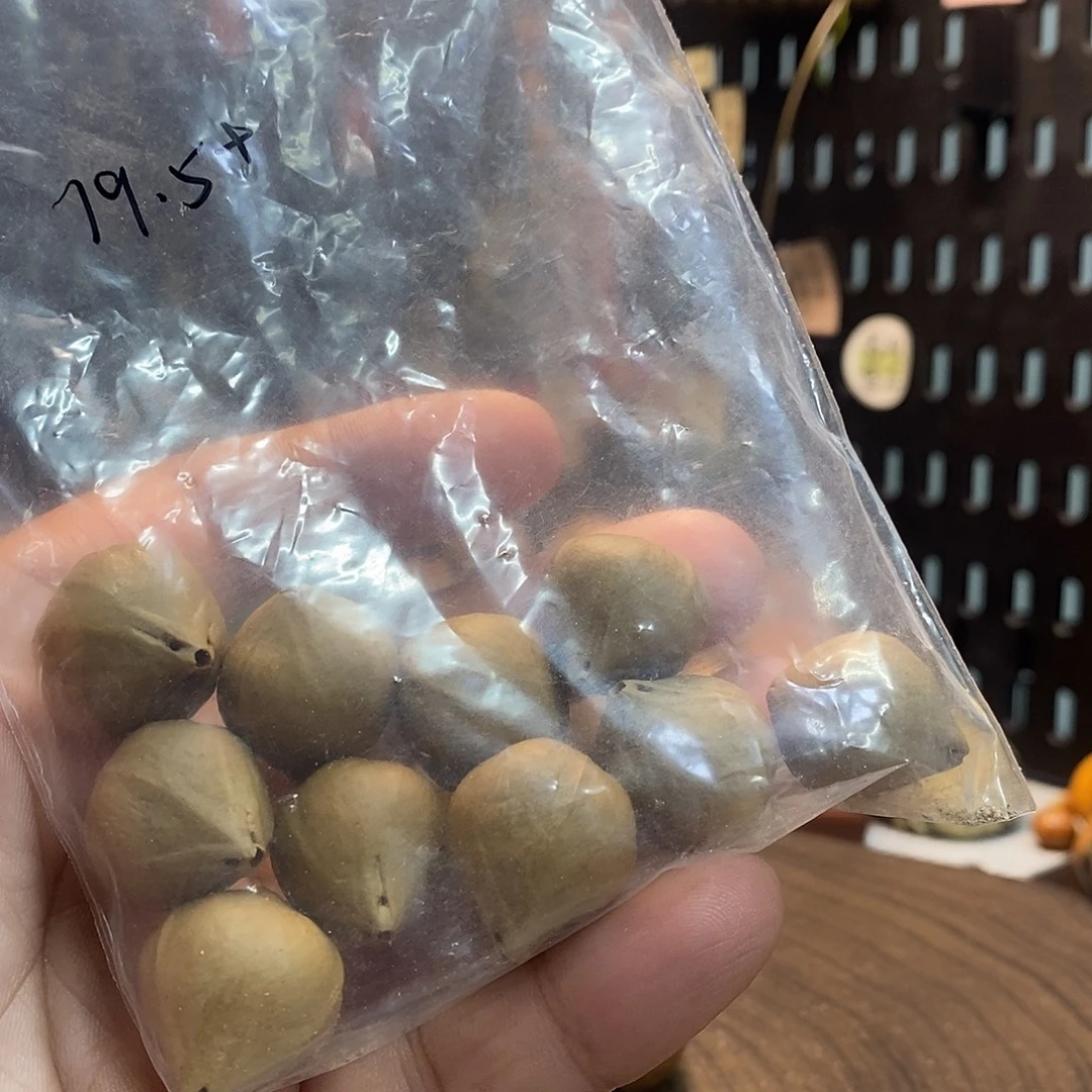 手串/手链橄榄核86698588866658889