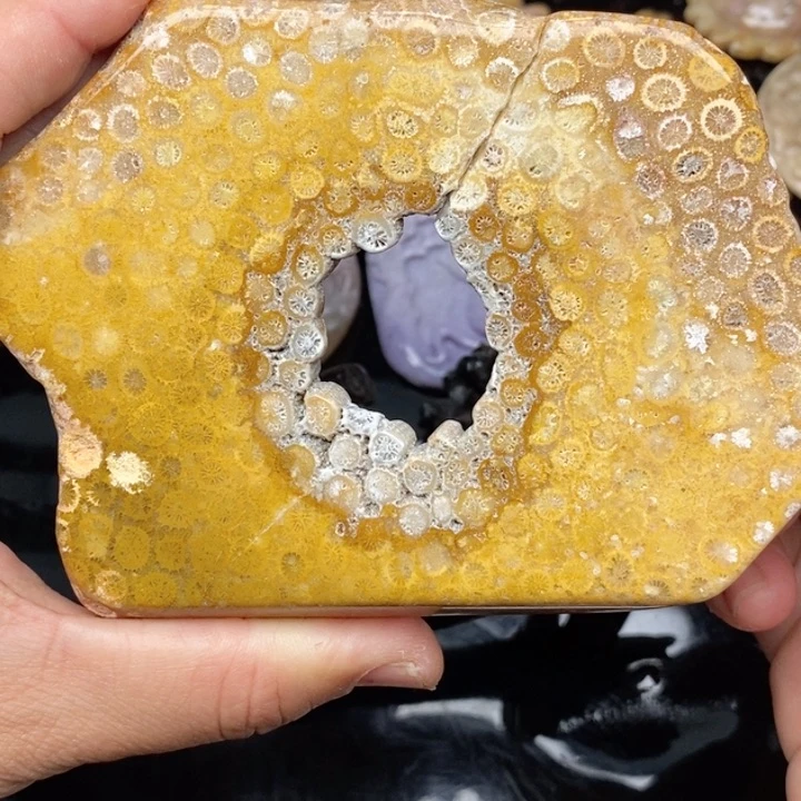 硅化珊瑚（珊瑚玉）手镯未镶嵌