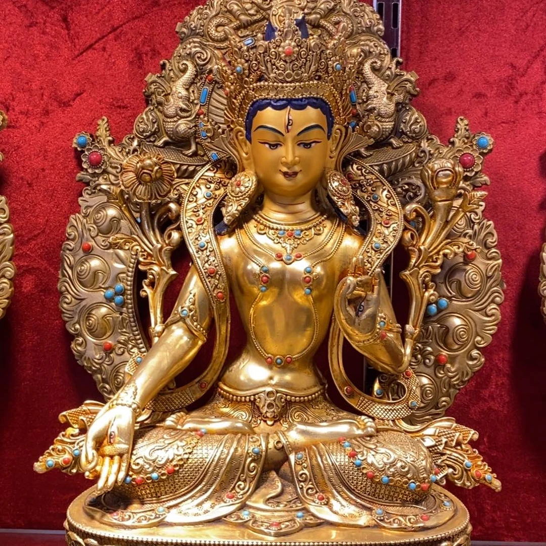 彭***措铜111111师兄1111111