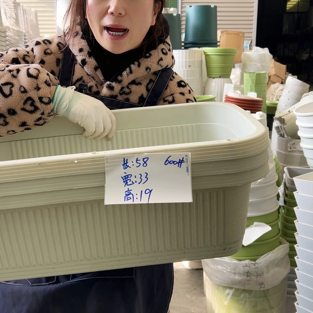 菜盆600#米白3个无托