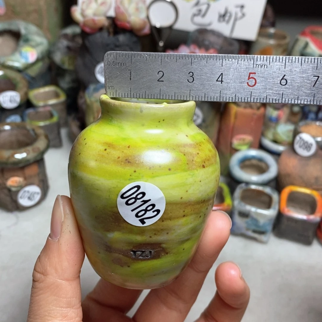 花盆拍5送一个小礼物