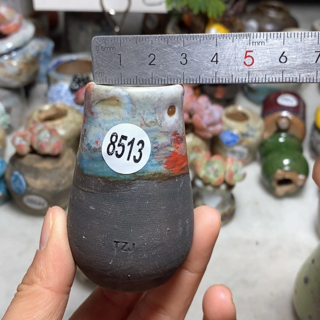 花盆拍5送一个小礼物