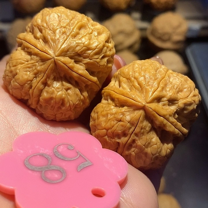 核桃四棱核桃尺寸38