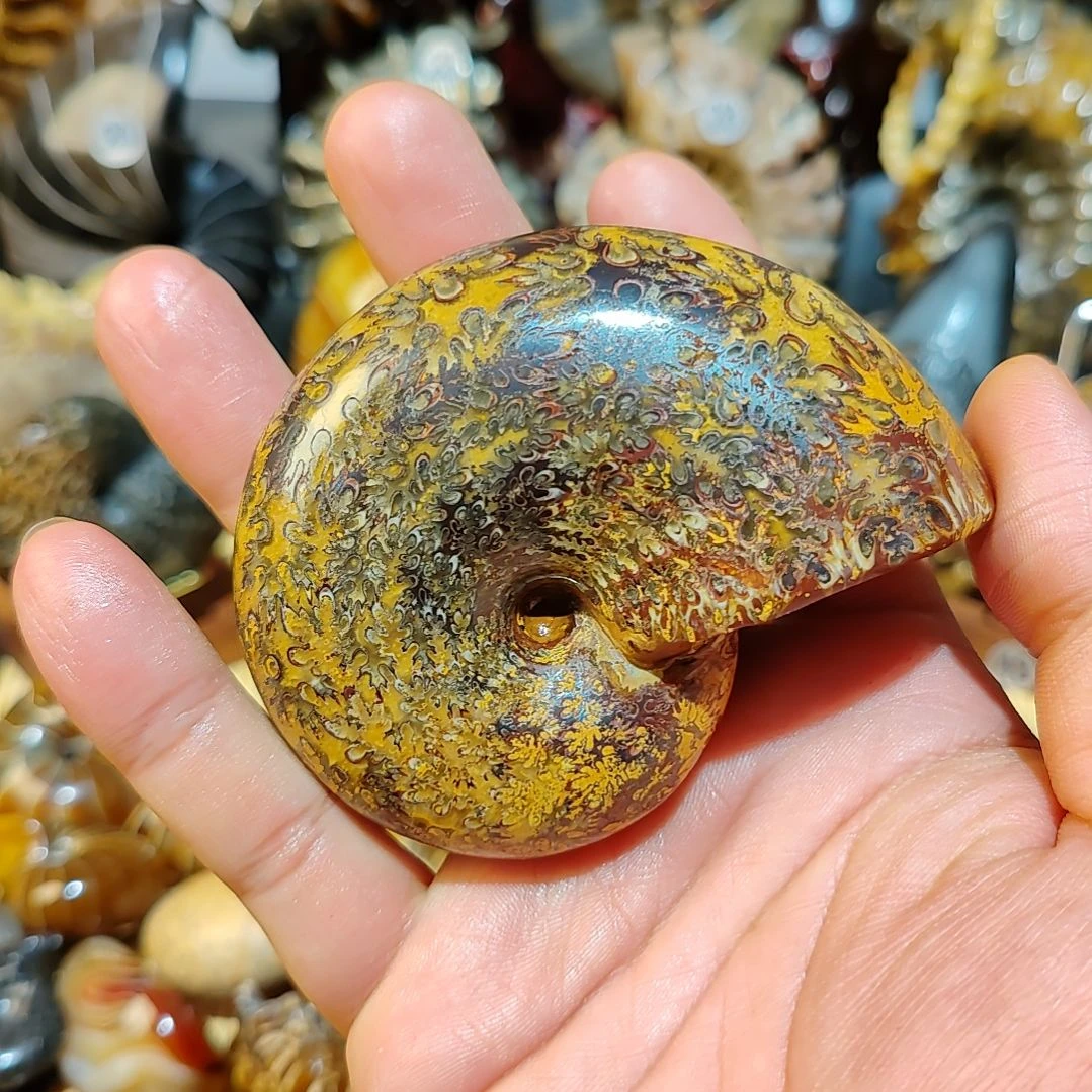 刺***️石材叶菊石手把件