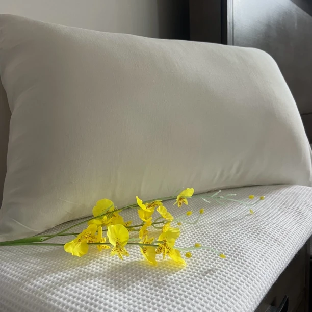 高端跑量款55汉麻+15莫代尔+30竹纤维枕套48*74与床单有轻微色差