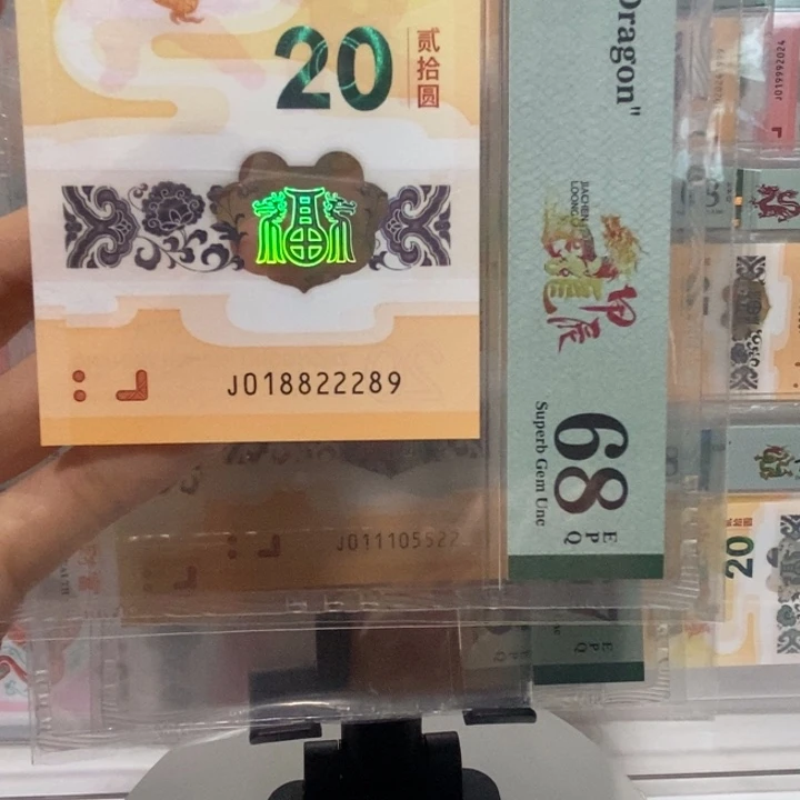 小龙钞朦胧中间豹