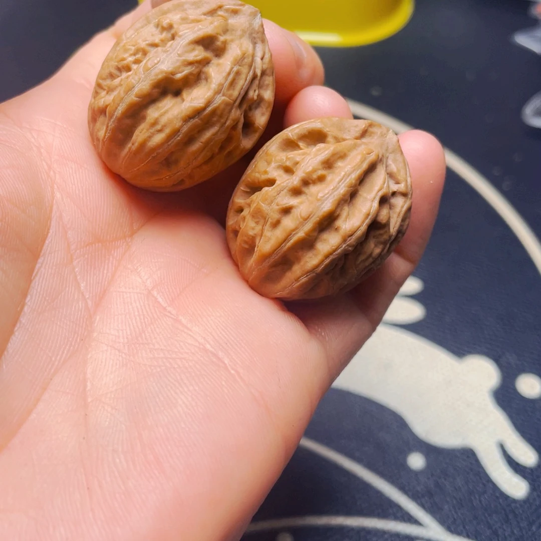 文玩核桃把件霸王龙一对