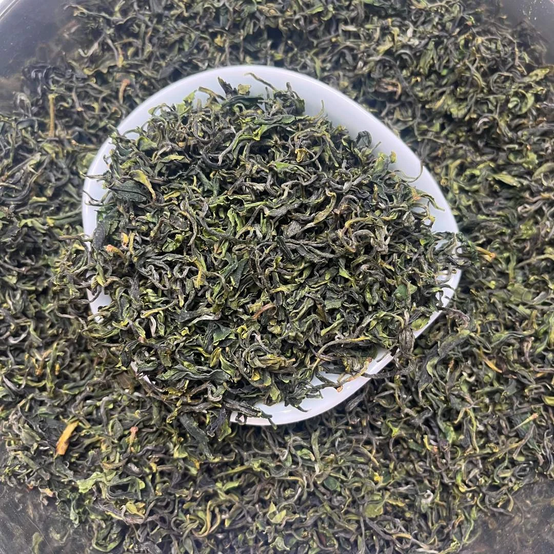 【2025年春茶】新茶板栗香耐冲泡日照绿茶