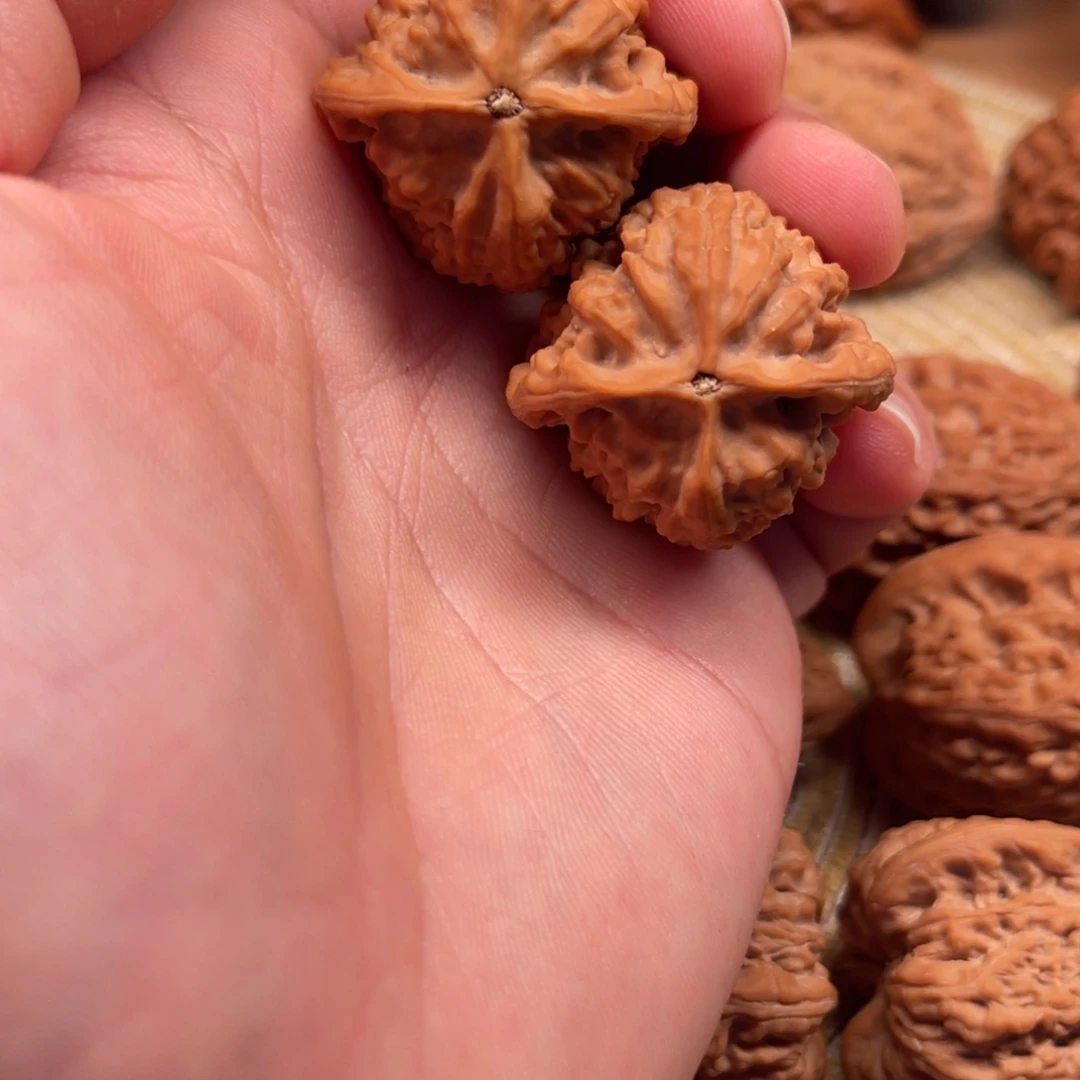 来***弟吊坠文玩核桃吸血鬼