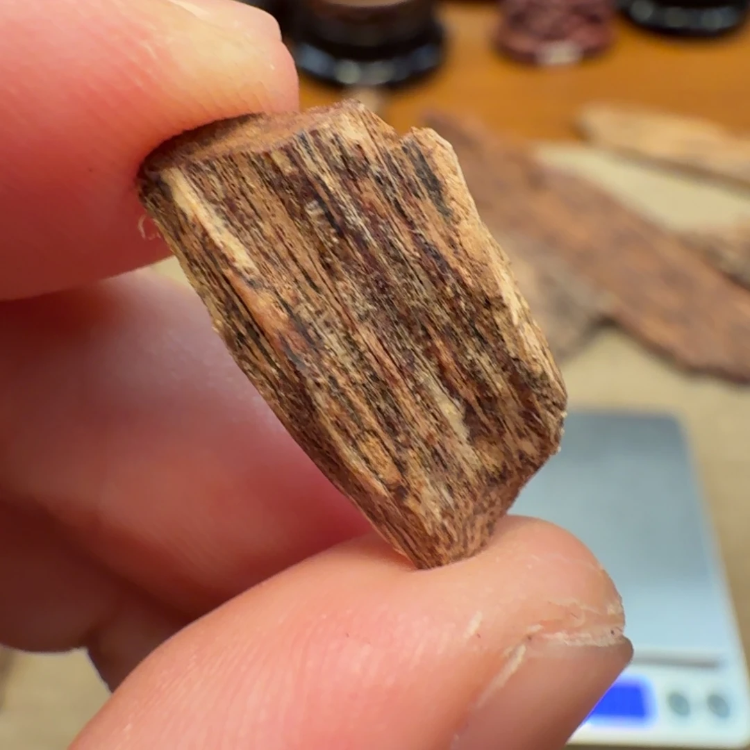 沉香印度熟结老料
