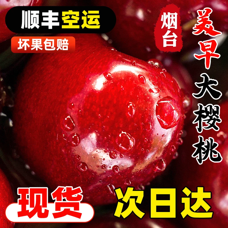 【送2斤美早樱桃】烟台新鲜美早大樱桃空运应季新鲜孕妇水果5斤装J新鲜水果美早樱桃