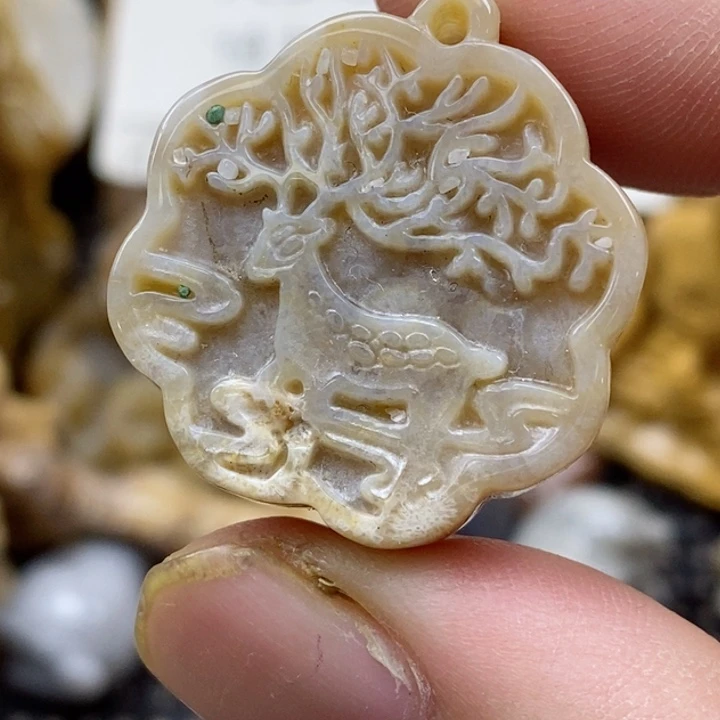 颈饰未镶嵌硅化珊瑚（珊瑚玉）小
