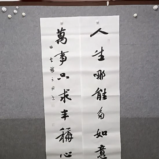 书法人生哪能多如意，40对开，对联书法作品
