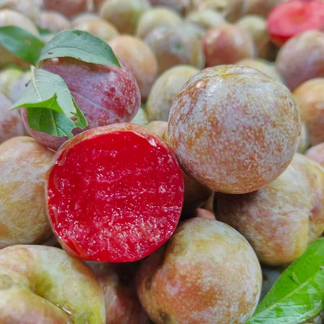 广东五华县红心三华李新鲜采摘孕妇水果酸甜脆口怕酸勿拍