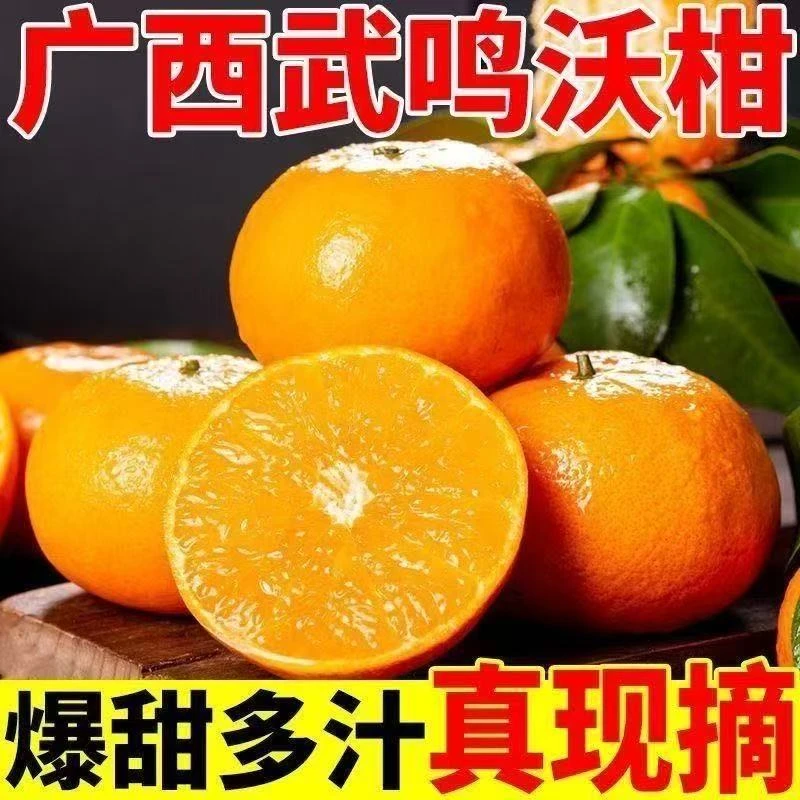 00【赠开果器】广西正宗武鸣沃柑新鲜采摘香甜多汁皮薄老树农家桔子