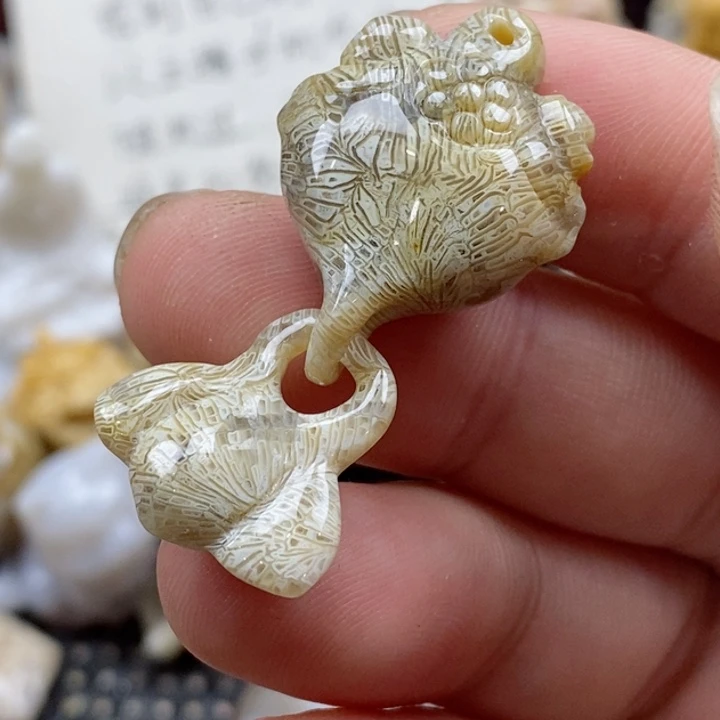 颈饰未镶嵌硅化珊瑚（珊瑚玉）