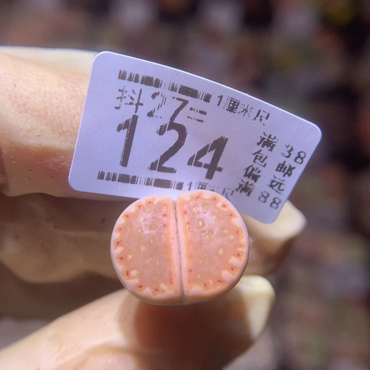 精品生石花27.124